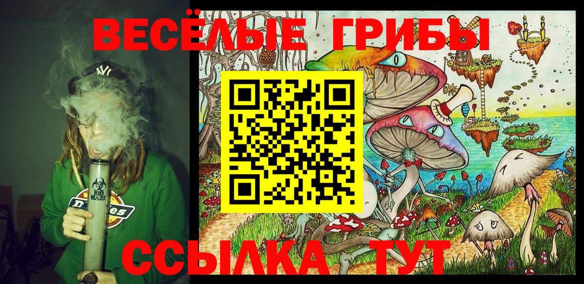 Псилоцибиновые грибы Cubensis  Вход с VPN  Тобольск 