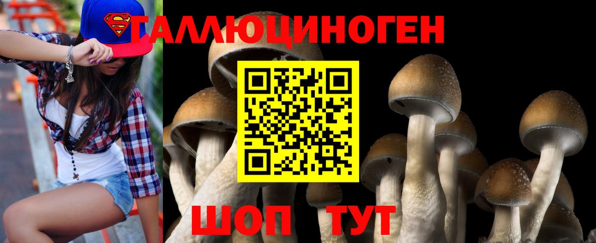 Псилоцибиновые грибы Psilocybine cubensis Тобольск
